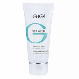 GIGI Sea Weed Soapless Soap For Normal to Oily Skin 100 ml